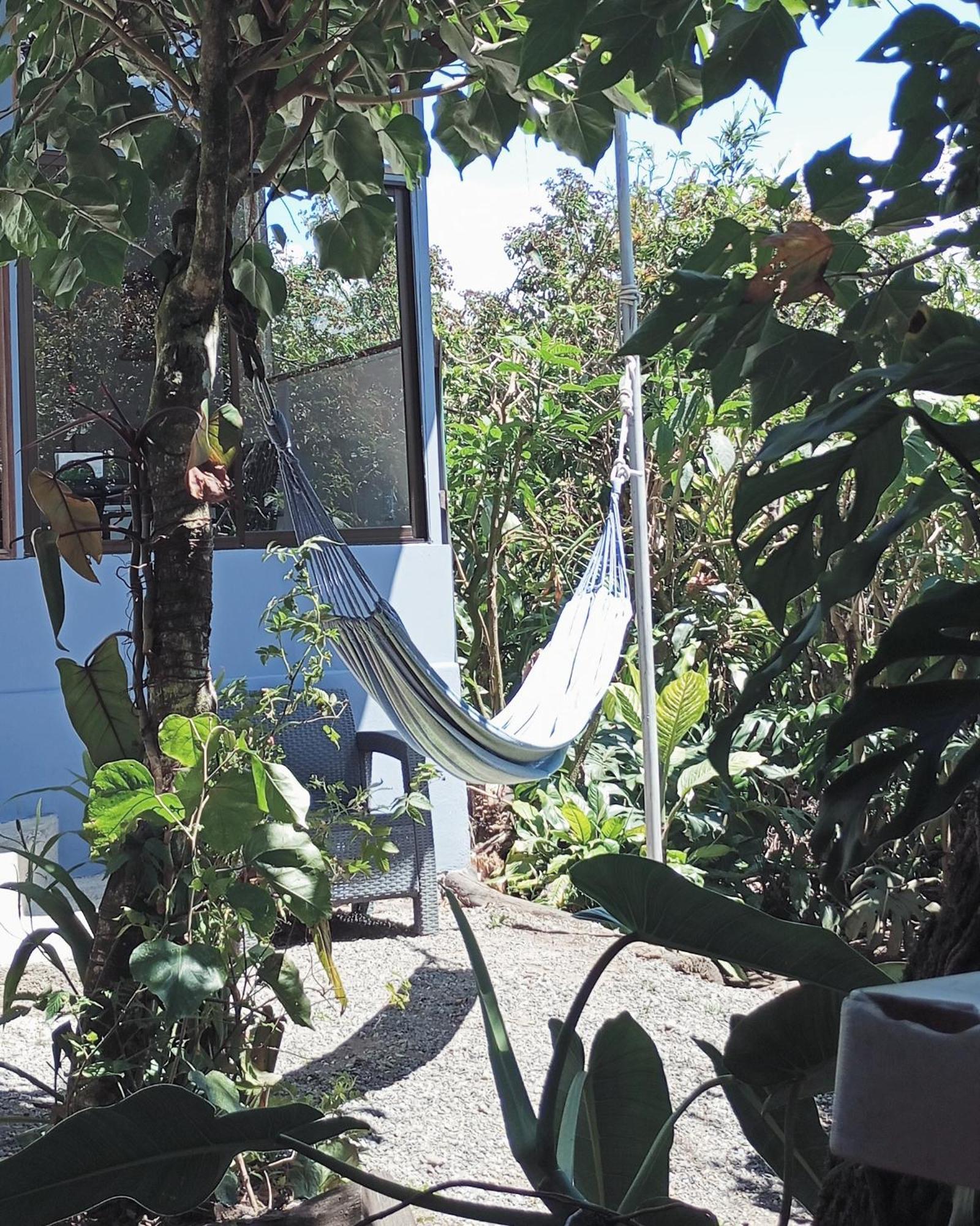 Monteverde Cecropia Paradise Zimmer foto